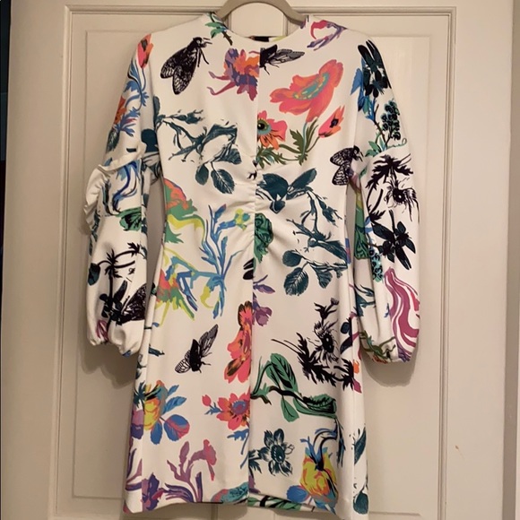 Toni floral dress with open back. - Picture 1 of 3